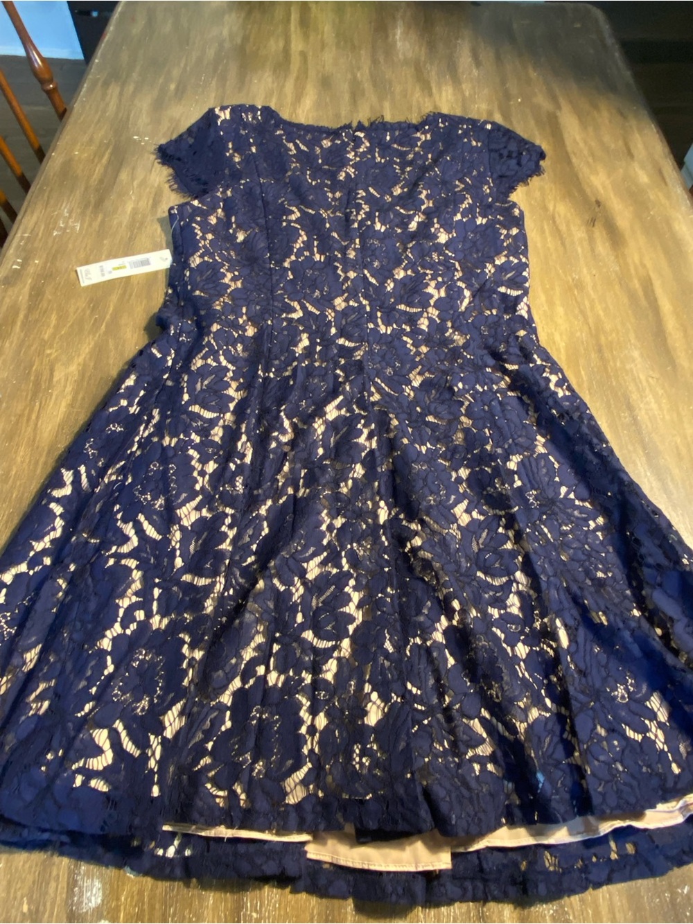 Eliza J Navy Blue Lace Dress Size 14 NWT - Picture 13 of 15
